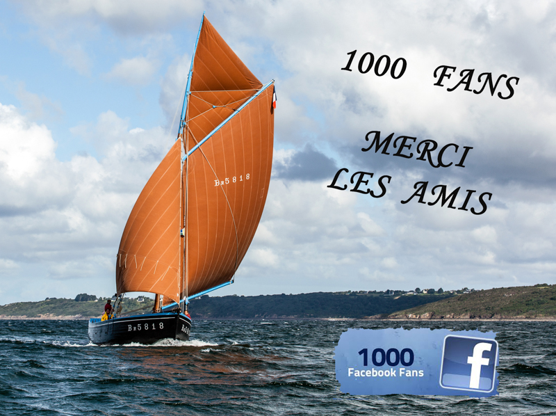 1000 Amis Facebook